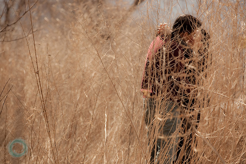 long-grass-like-this-for-texture-in-photos-is-the-best long-grass-like-this-for-texture-in-photos-is-the-best