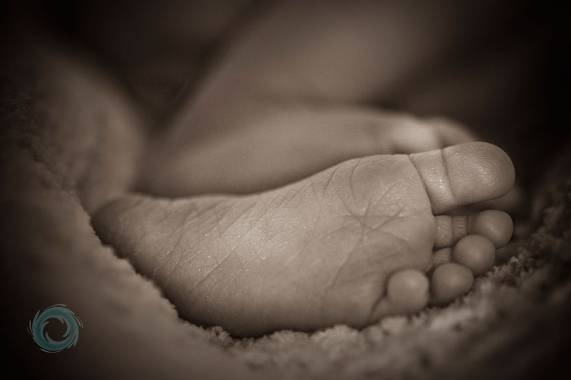 baby-photography-feet-picture baby-photography-feet-picture