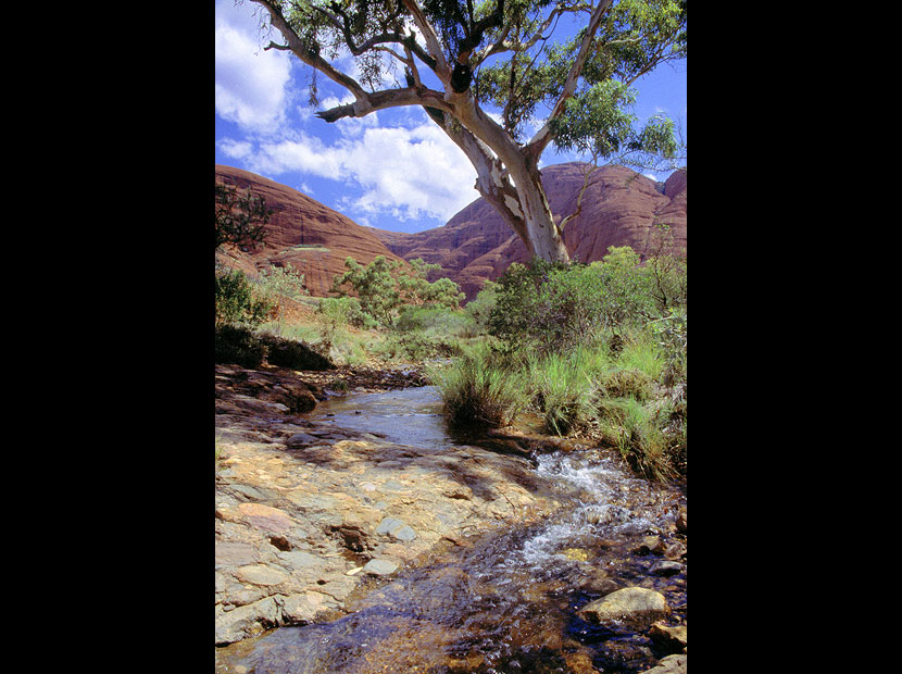 kata_tjuta kata_tjuta