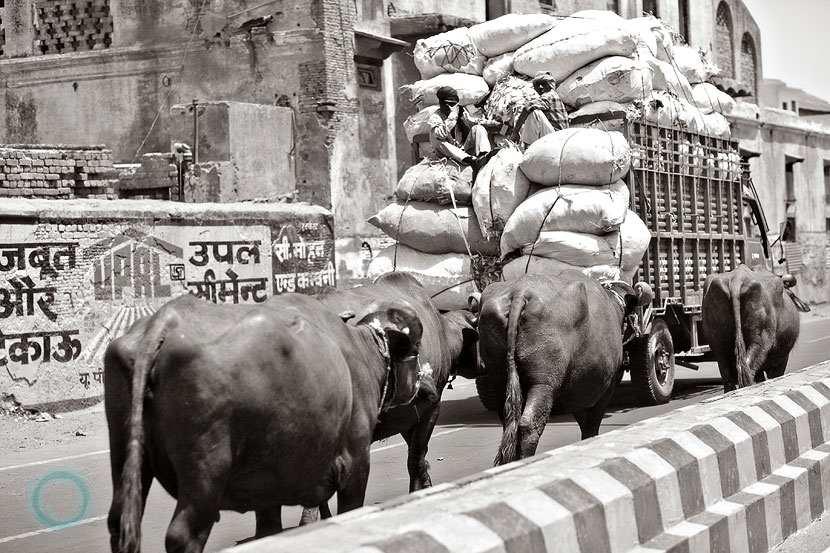 09india-can you believe this is a highway 09india-can you believe this is a highway