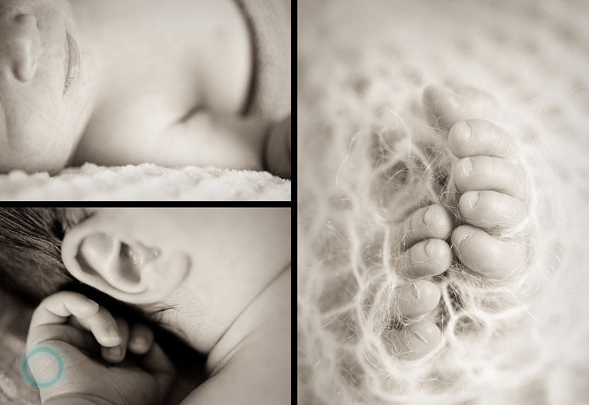 details of the cutest baby in the world details of the cutest baby in the world