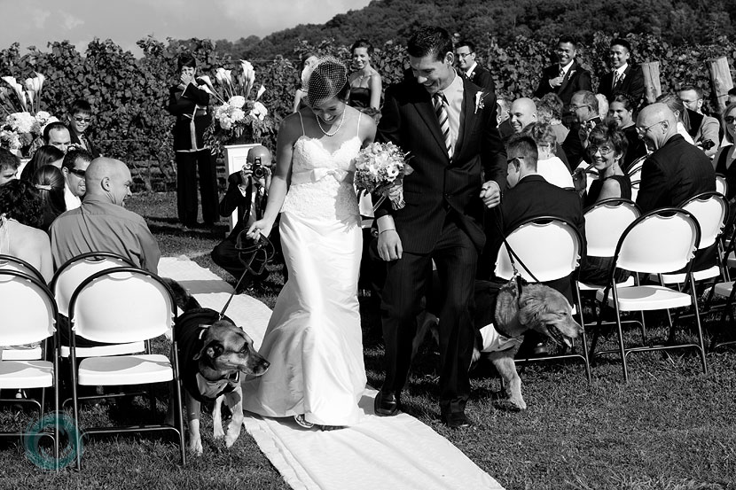 Niagara-Wedding-11 Niagara-Wedding-11