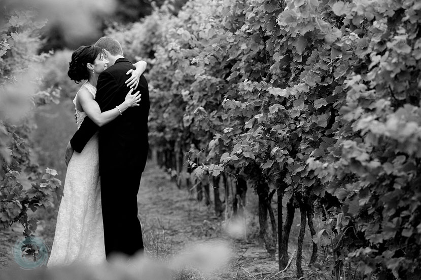 niagara-vinyard-wedding-photo-17