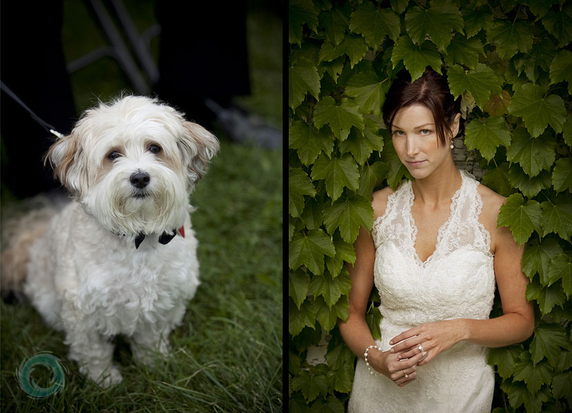 niagara-vinyard-wedding-photo-24