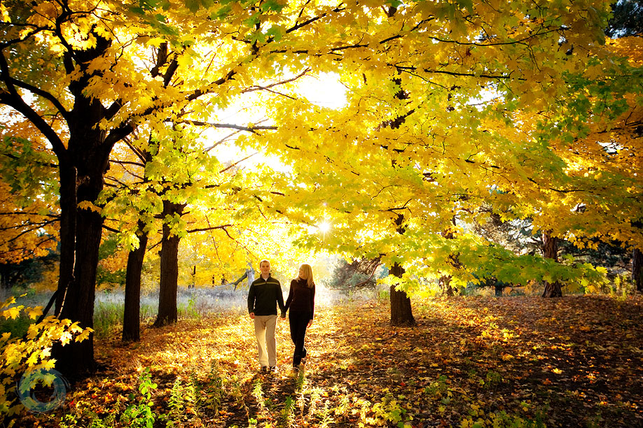 fall-engagement-pictures-11 fall-engagement-pictures-11