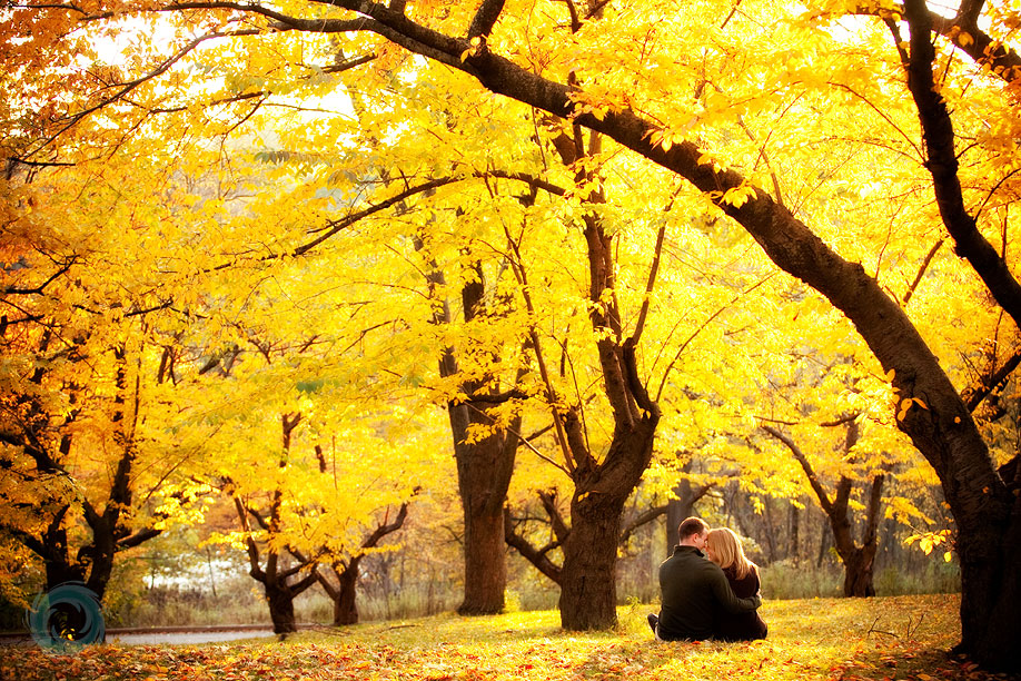 fall-engagement-pictures-12 fall-engagement-pictures-12