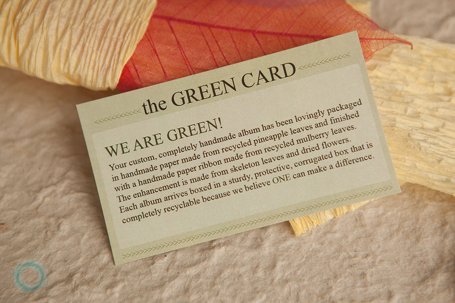 3our-amazing-green-photo-albums