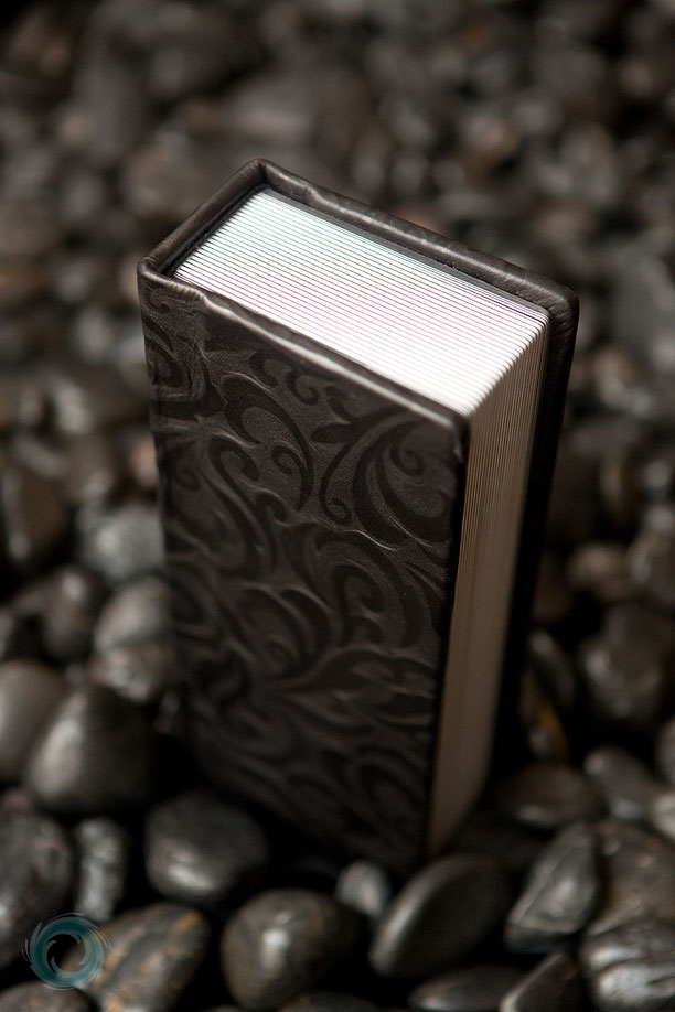 flipbook-style-photo-album-with-ludicrous-cover